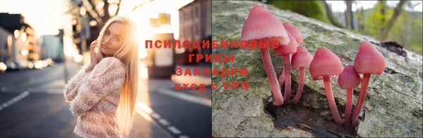 альфа пвп Инта
