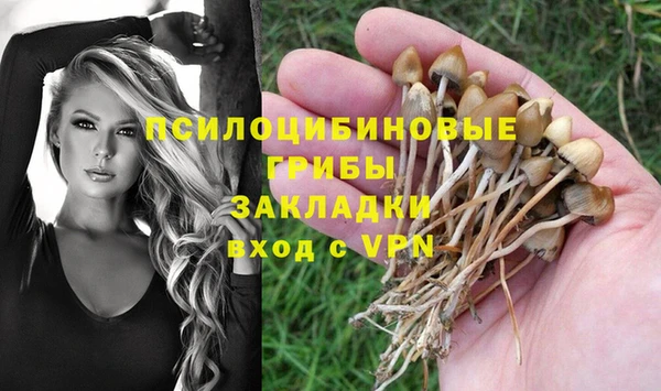 амфетамин Инсар